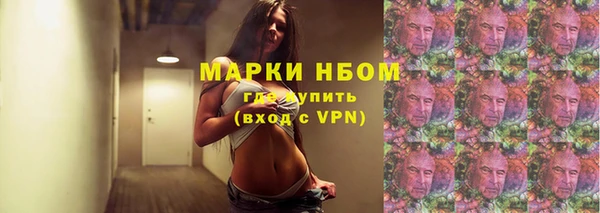 молекула духа Гусиноозёрск