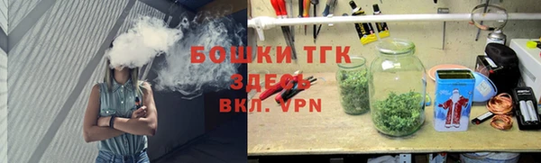 крисы Дмитриев