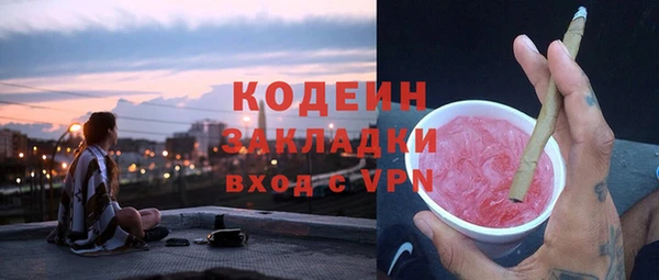 2c-b Гусев