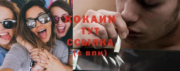 прущая мука Гусь-Хрустальный