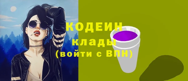 молекула духа Гусиноозёрск