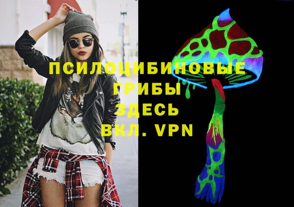 молекула духа Гусиноозёрск