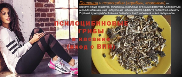 прущая мука Гусь-Хрустальный