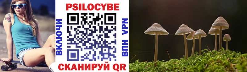 Псилоцибиновые грибы Cubensis Ивдель
