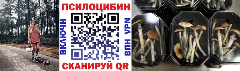 Псилоцибиновые грибы Magic Shrooms  мега как зайти  Ивдель 